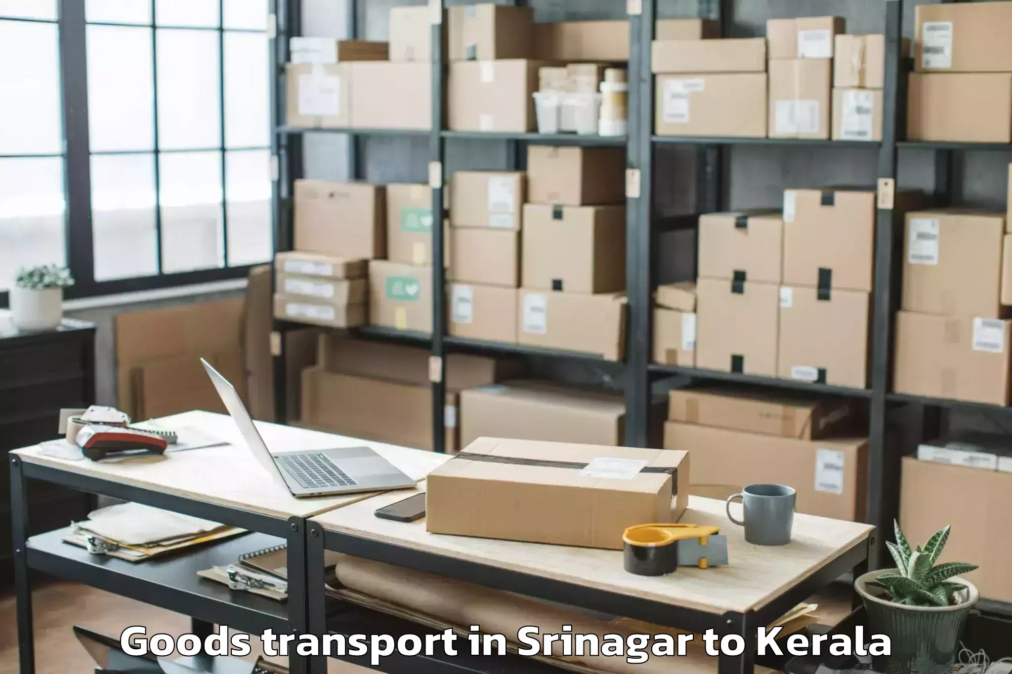 Professional Srinagar to Mavelikara Goods Transport